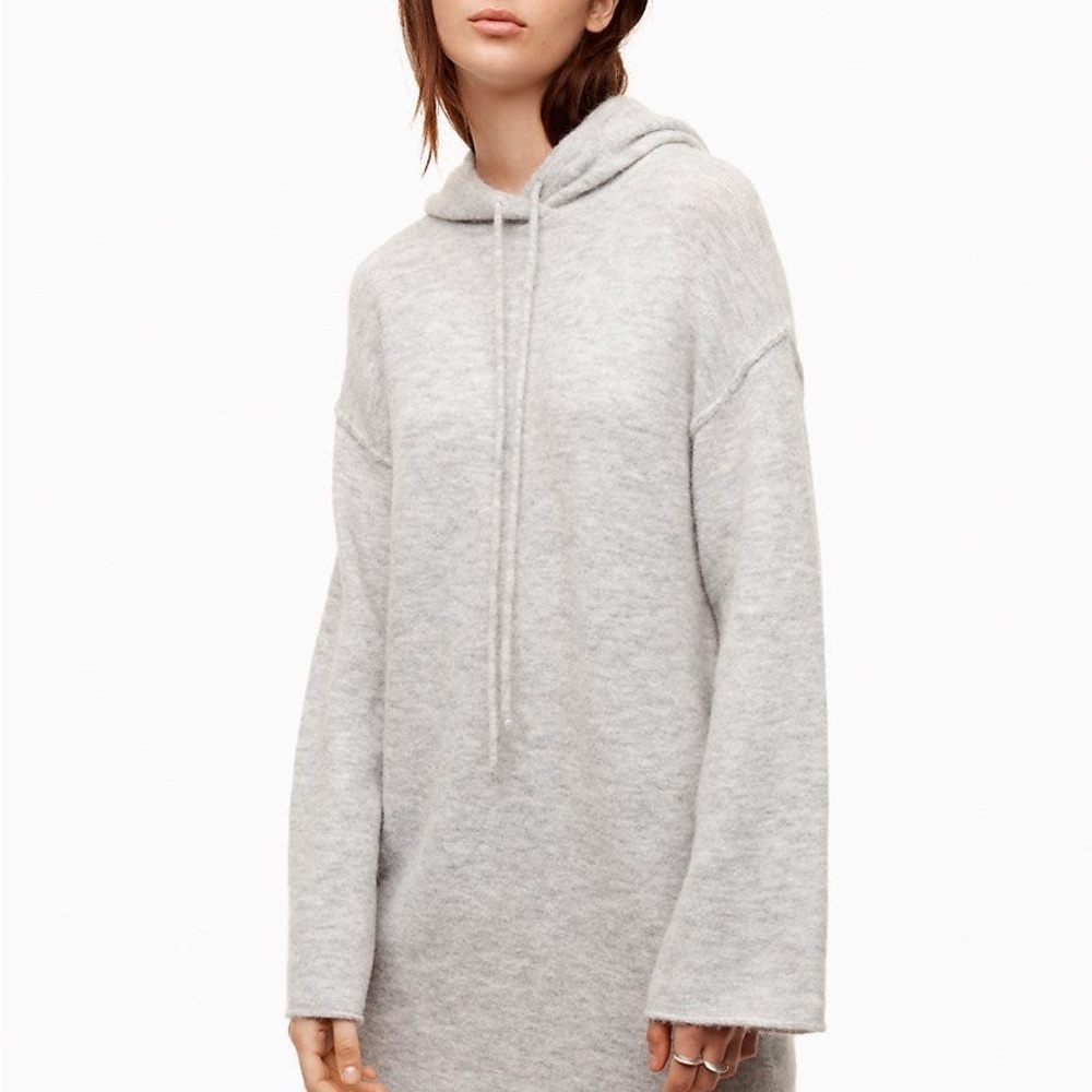 NWOT Aritzia Wilfred Free Sissi Dress XS